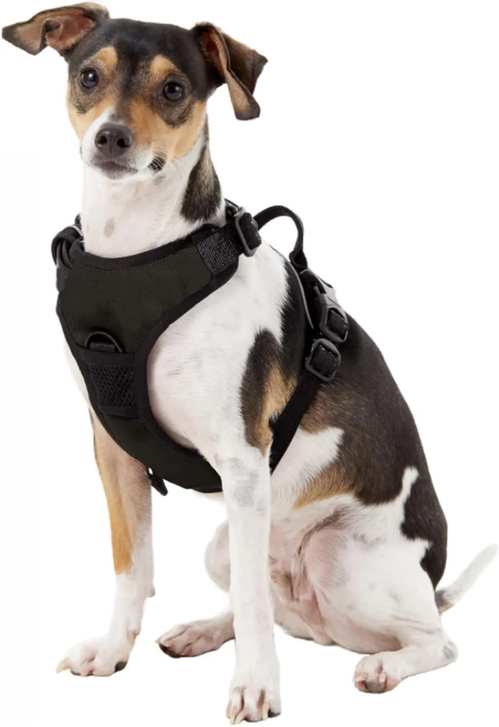 Littlearth NHL Unisex-Adult Front Clip Pet Harness