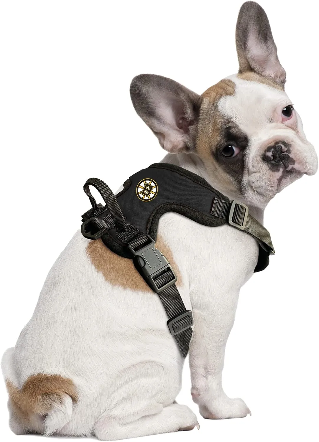 Littlearth NHL Unisex-Adult Front Clip Pet Harness
